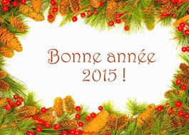 bonne anne 2015