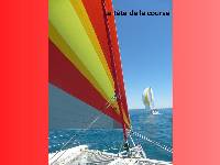 **yachting-direct** regate2015-miniphoto 9