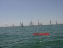 **yachting-direct** regate_yachting_2012-miniphoto 11