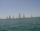 **yachting-direct** regate_yachting_2012-miniphoto 12