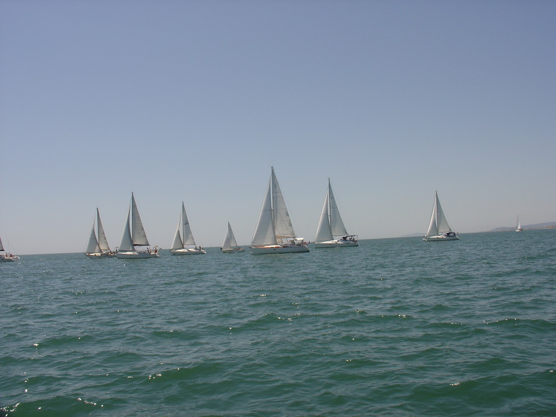 **yachting-direct** regate_yachting_2012-photo 12